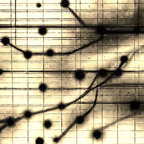 The Ledger of Lost Confidence: How McConnell’s Fall Rippled Through On-Chain Liquidity The Ledger of Lost Confidence: How McConnell’s Fall Rippled Through On-Chain Liquidity