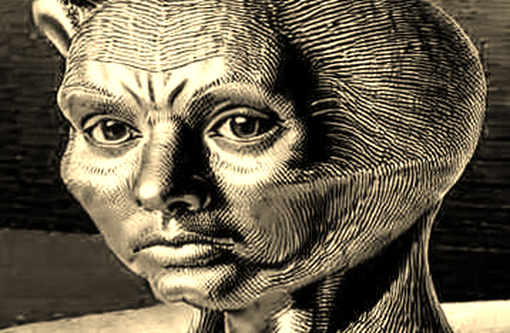 Bitcoin's Quantum-Safe First: A Structural Anomaly or a Proof-of-Concept Mirage?