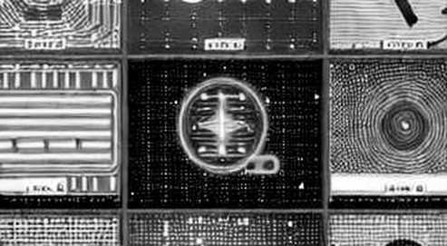 When the Architect Sells: Decoding the Silent Ledger of Micron's CEO Trade