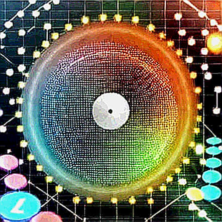 The Artificial Inu Postmortem: Why 'Tokenized NVDA' is the Next Frontier of Cryptographic Fraud The Artificial Inu Postmortem: Why 'Tokenized NVDA' is the Next Frontier of Cryptographic Fraud
